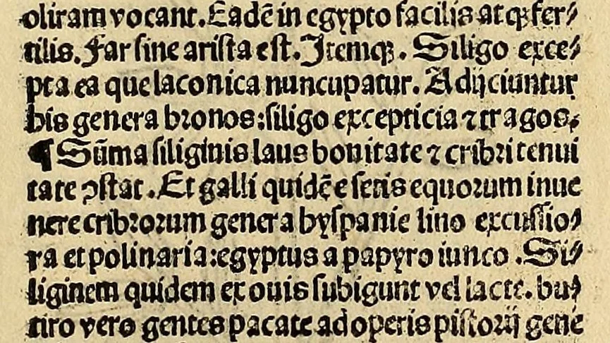 An illustration from Ortus sanitatis, leaf 347