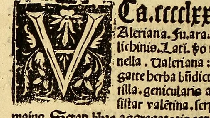 An illustration from Ortus sanitatis, leaf 384