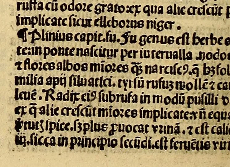 An illustration from Ortus sanitatis, leaf 384