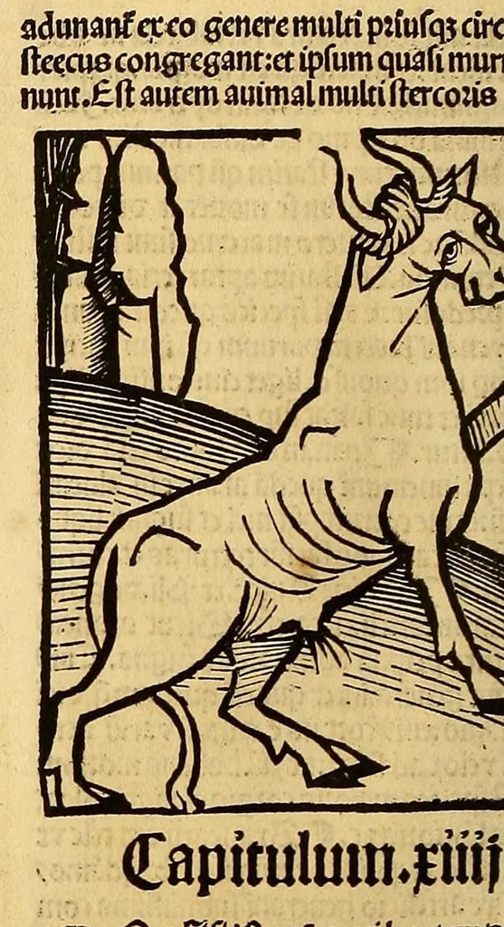 An illustration from Ortus sanitatis, leaf 430