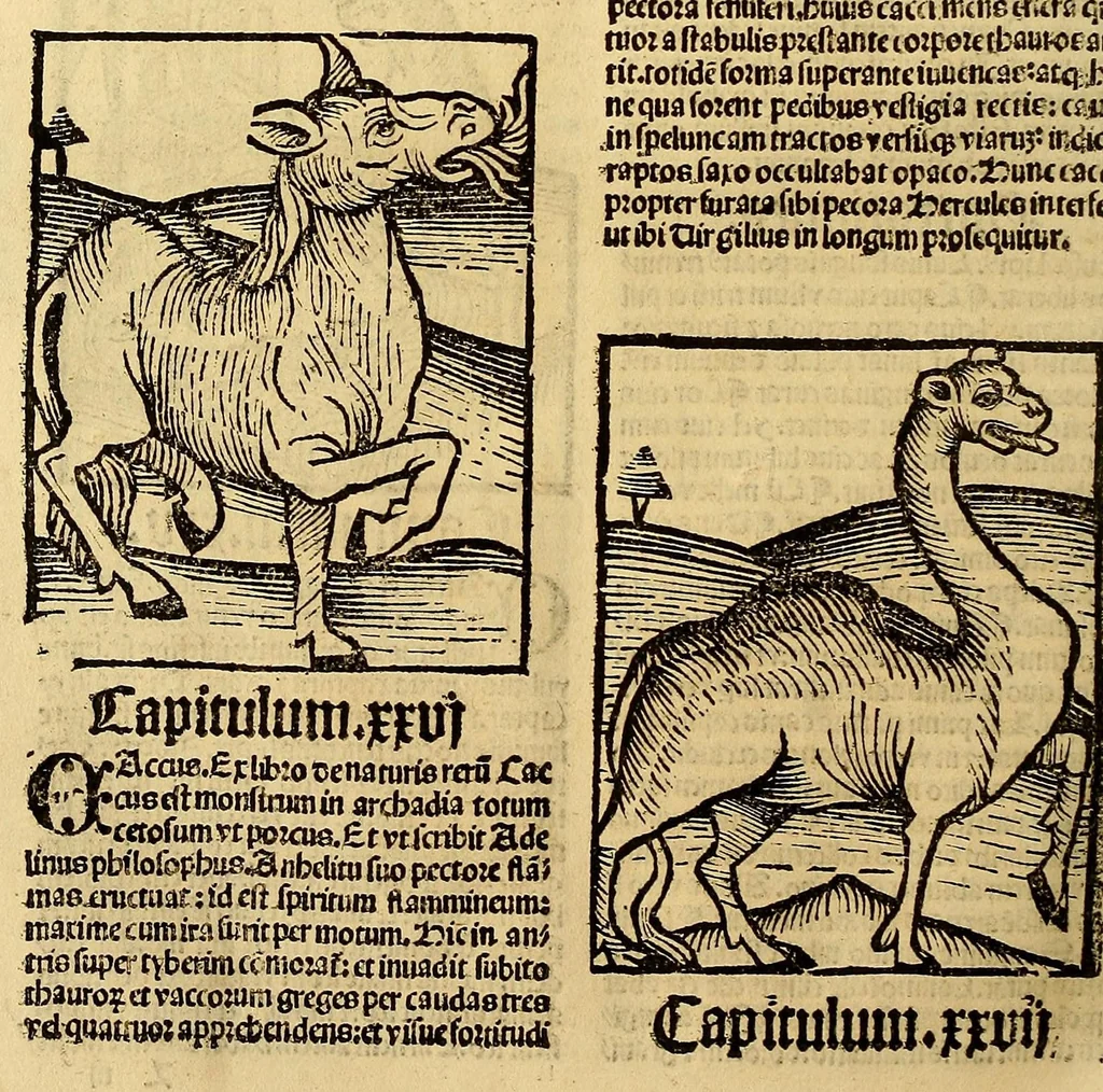 An illustration from Ortus sanitatis, leaf 438