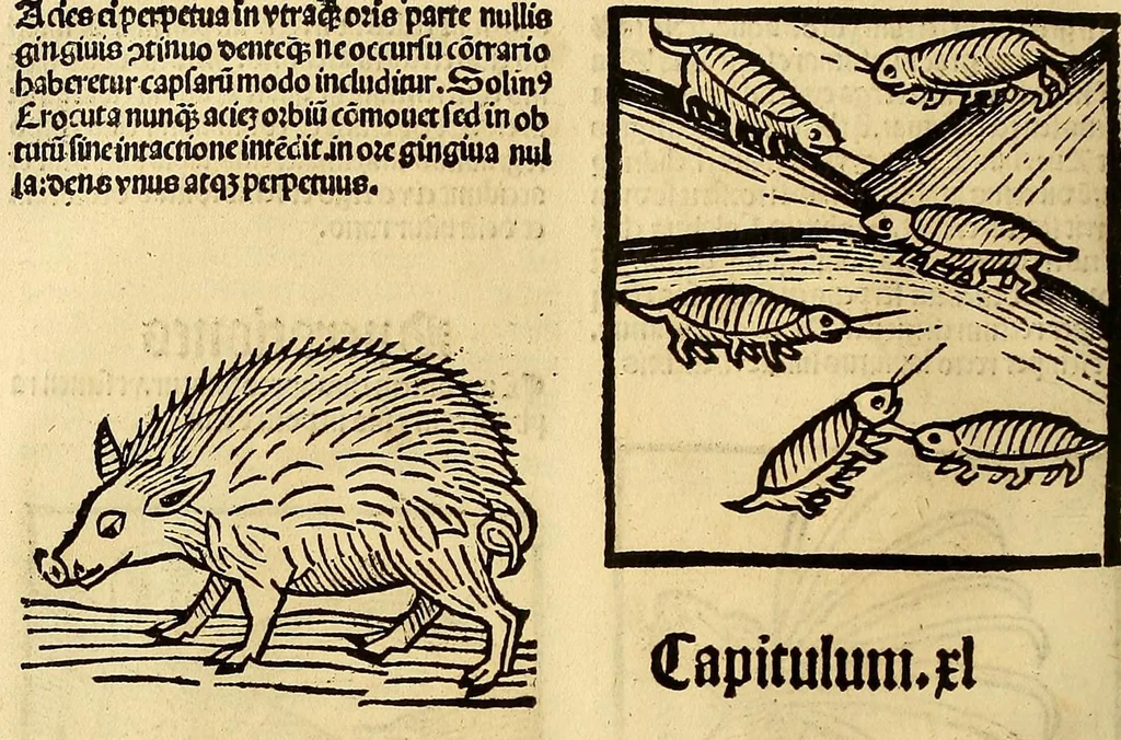 An illustration from Ortus sanitatis, leaf 446