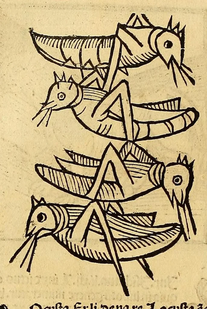 An illustration from Ortus sanitatis, leaf 470