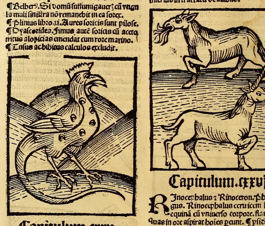 An illustration from Ortus sanitatis, leaf 486