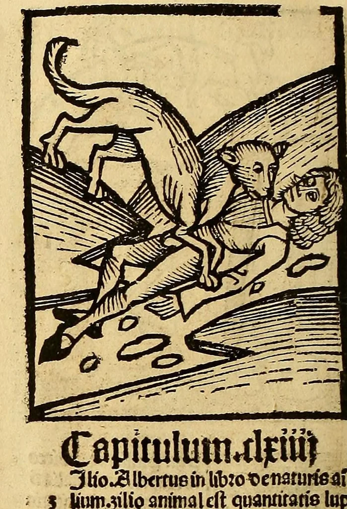 An illustration from Ortus sanitatis, leaf 502