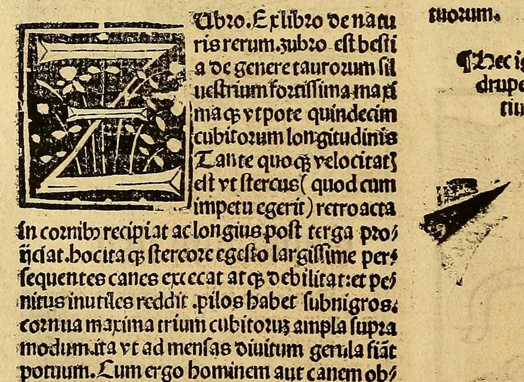 An illustration from Ortus sanitatis, leaf 502