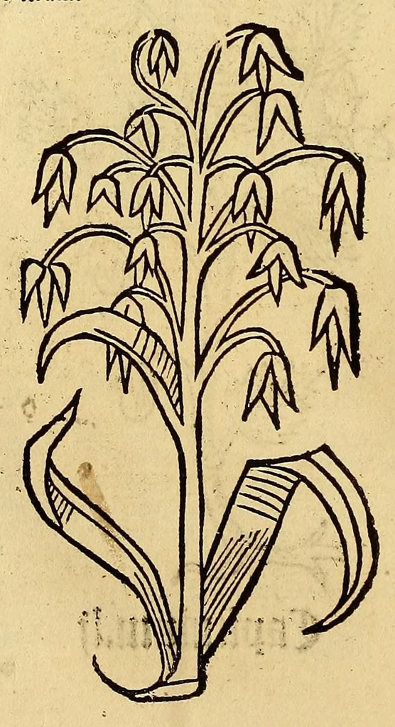 An illustration from Ortus sanitatis, leaf 54