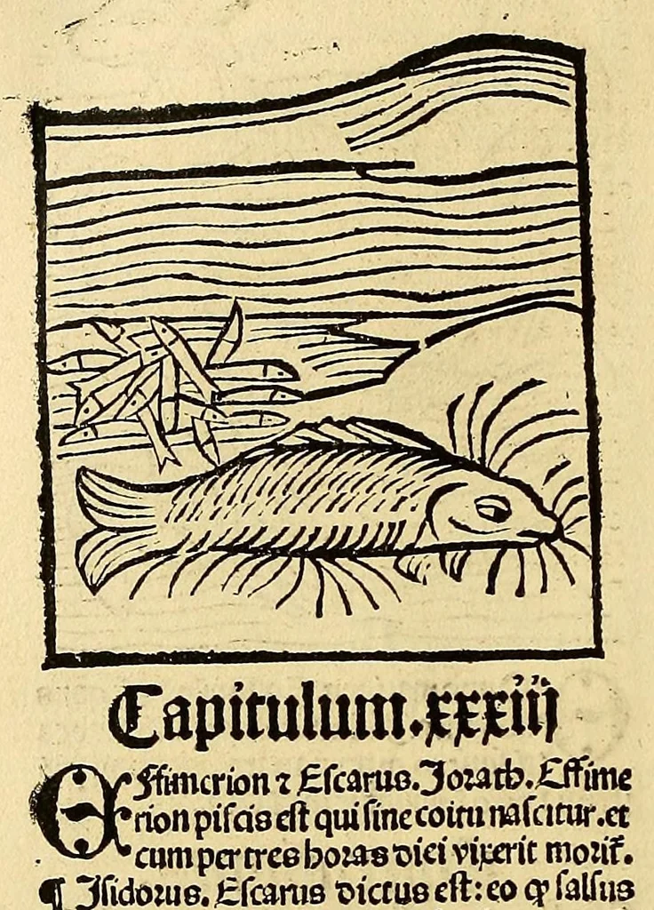 An illustration from Ortus sanitatis, leaf 574