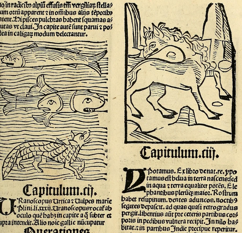 An illustration from Ortus sanitatis, leaf 605