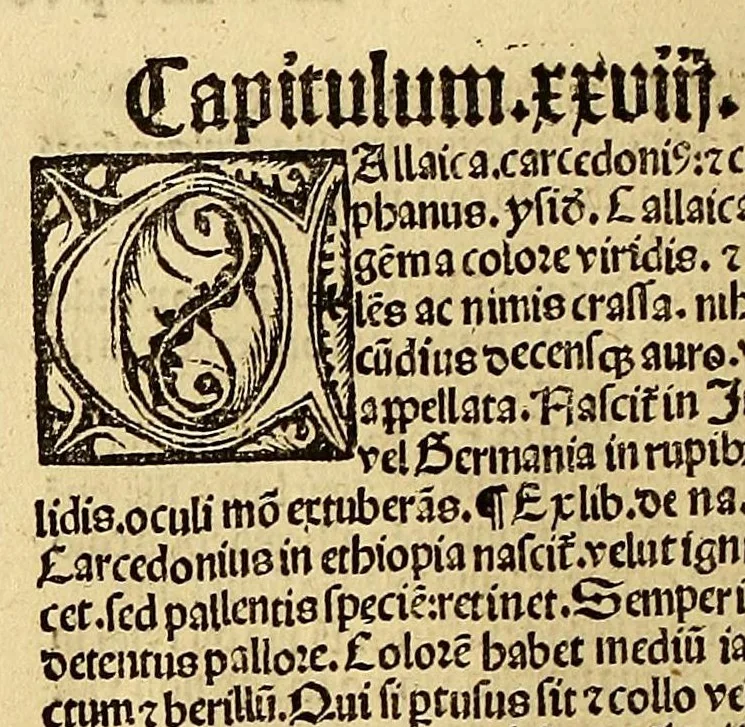 An illustration from Ortus sanitatis, leaf 622