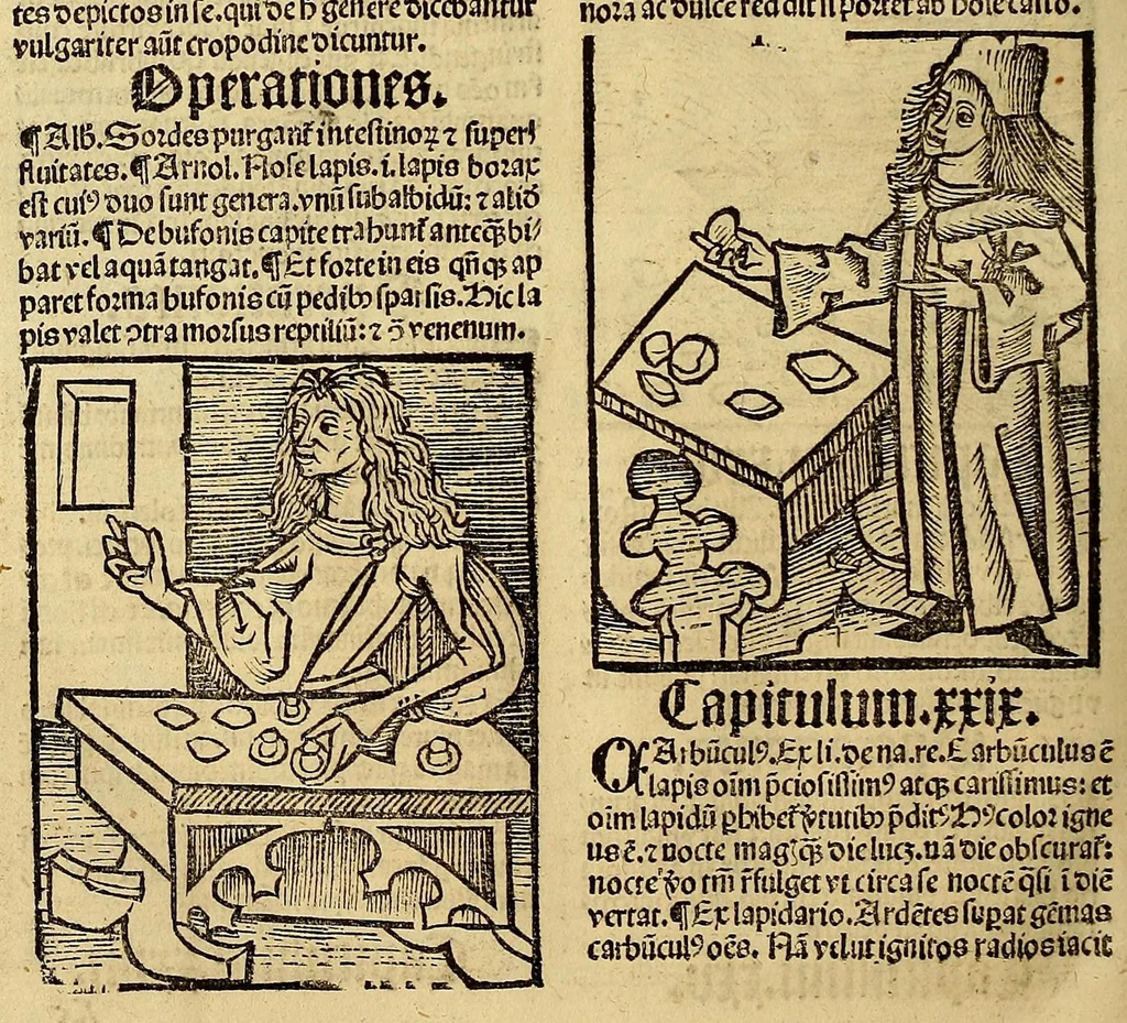 An illustration from Ortus sanitatis, leaf 622