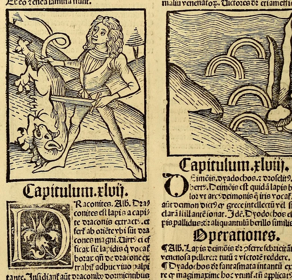 An illustration from Ortus sanitatis, leaf 630