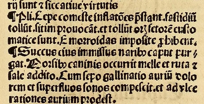 An illustration from Ortus sanitatis, leaf 95