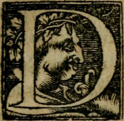 An illustration from Orus Apollo Niliacus De hieroglyphicis notis, 1530, leaf 208