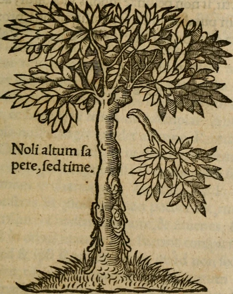 An illustration from Orus Apollo Niliacus De hieroglyphicis notis, 1530, leaf 310