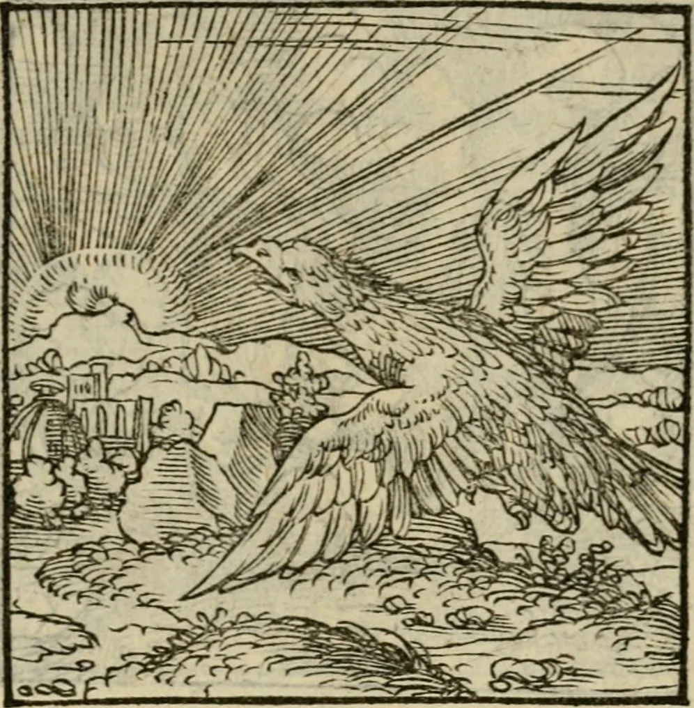 An illustration from Orvs Apollo de Ægypte De la signification des notes hieroglyphiques des Aegyptiens : cest a dire des figures par les quelles ilz escripuoient leurs mysteres secretz, & les choses sainctes & diuines, 1543, leaf 100