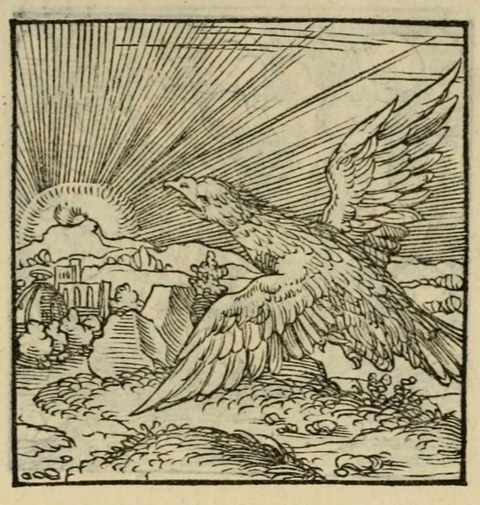 An illustration from Orvs Apollo de Ægypte De la signification des notes hieroglyphiques des Aegyptiens : cest a dire des figures par les quelles ilz escripuoient leurs mysteres secretz, & les choses sainctes & diuines, 1543, leaf 101