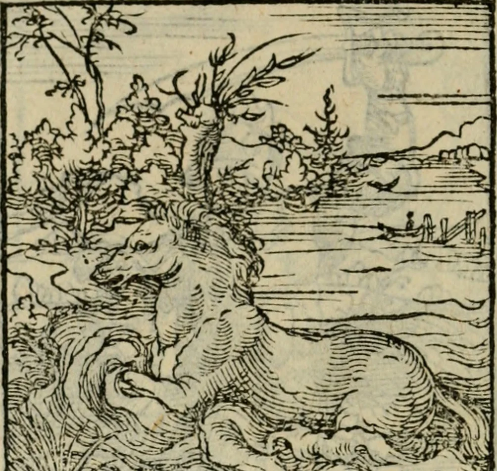An illustration from Orvs Apollo de Ægypte De la signification des notes hieroglyphiques des Aegyptiens : cest a dire des figures par les quelles ilz escripuoient leurs mysteres secretz, & les choses sainctes & diuines, 1543, leaf 105