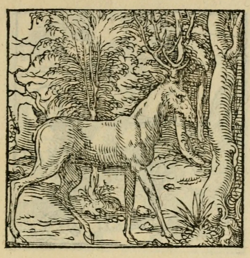 An illustration from Orvs Apollo de Ægypte De la signification des notes hieroglyphiques des Aegyptiens : cest a dire des figures par les quelles ilz escripuoient leurs mysteres secretz, & les choses sainctes & diuines, 1543, leaf 107