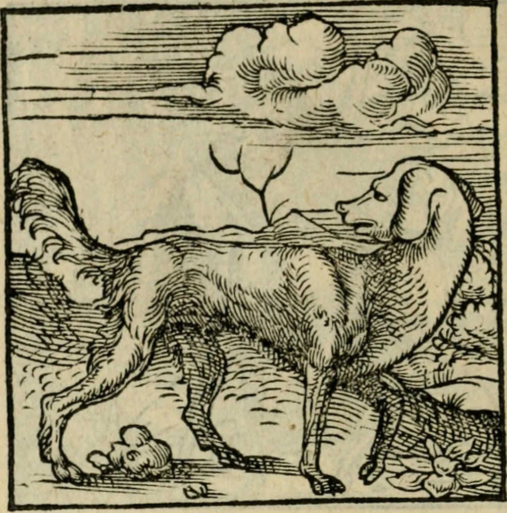 An illustration from Orvs Apollo de Ægypte De la signification des notes hieroglyphiques des Aegyptiens : cest a dire des figures par les quelles ilz escripuoient leurs mysteres secretz, & les choses sainctes & diuines, 1543, leaf 107