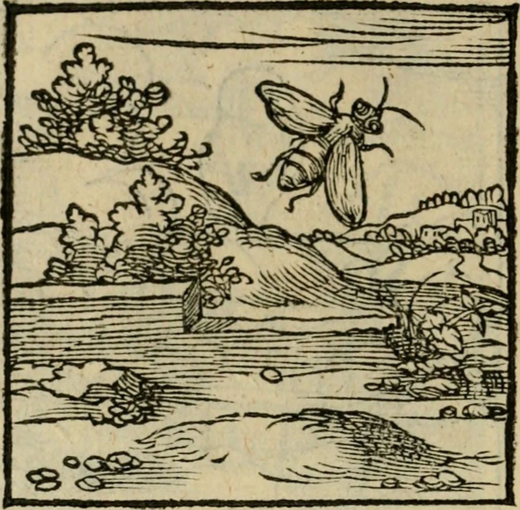 An illustration from Orvs Apollo de Ægypte De la signification des notes hieroglyphiques des Aegyptiens : cest a dire des figures par les quelles ilz escripuoient leurs mysteres secretz, & les choses sainctes & diuines, 1543, leaf 109