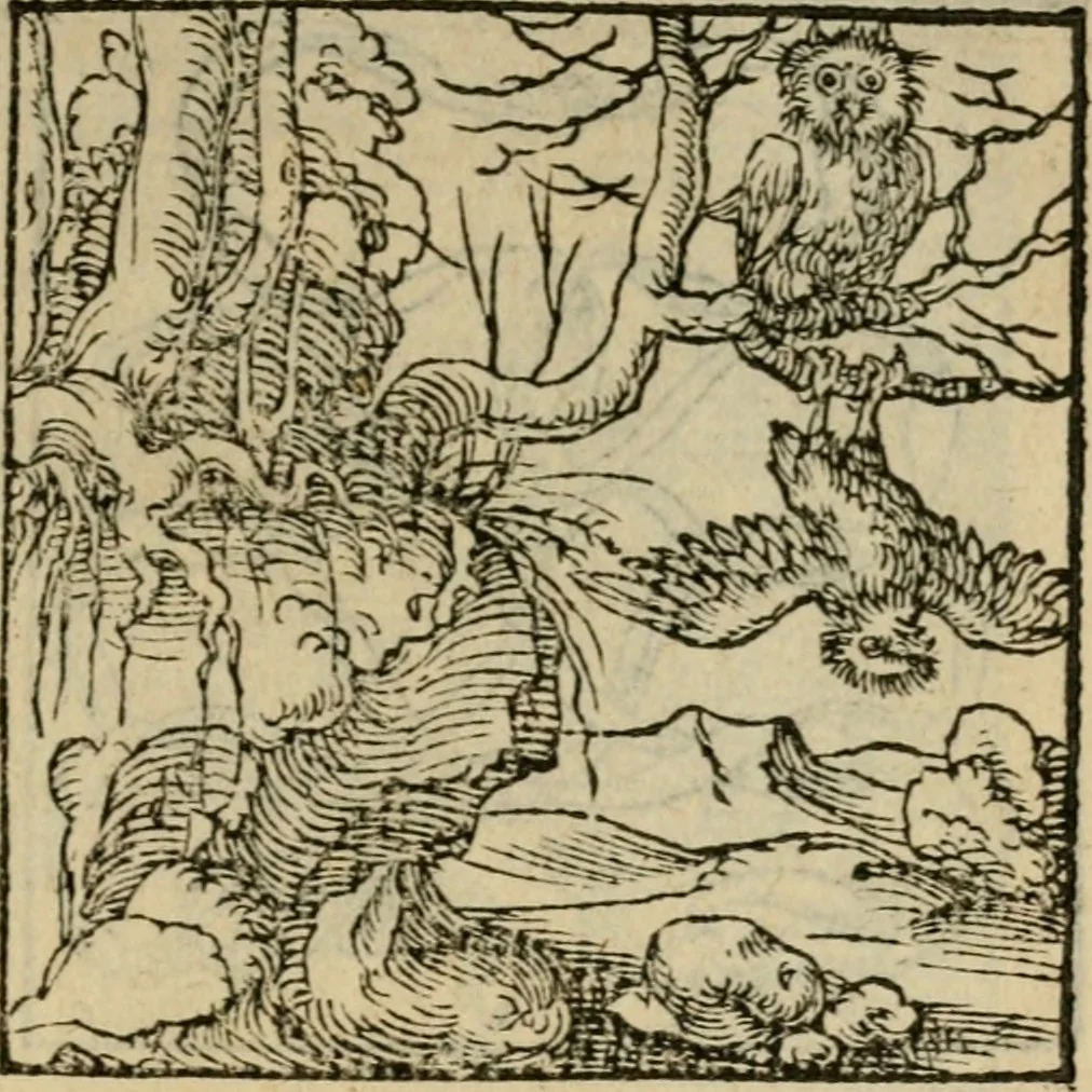 An illustration from Orvs Apollo de Ægypte De la signification des notes hieroglyphiques des Aegyptiens : cest a dire des figures par les quelles ilz escripuoient leurs mysteres secretz, & les choses sainctes & diuines, 1543, leaf 110