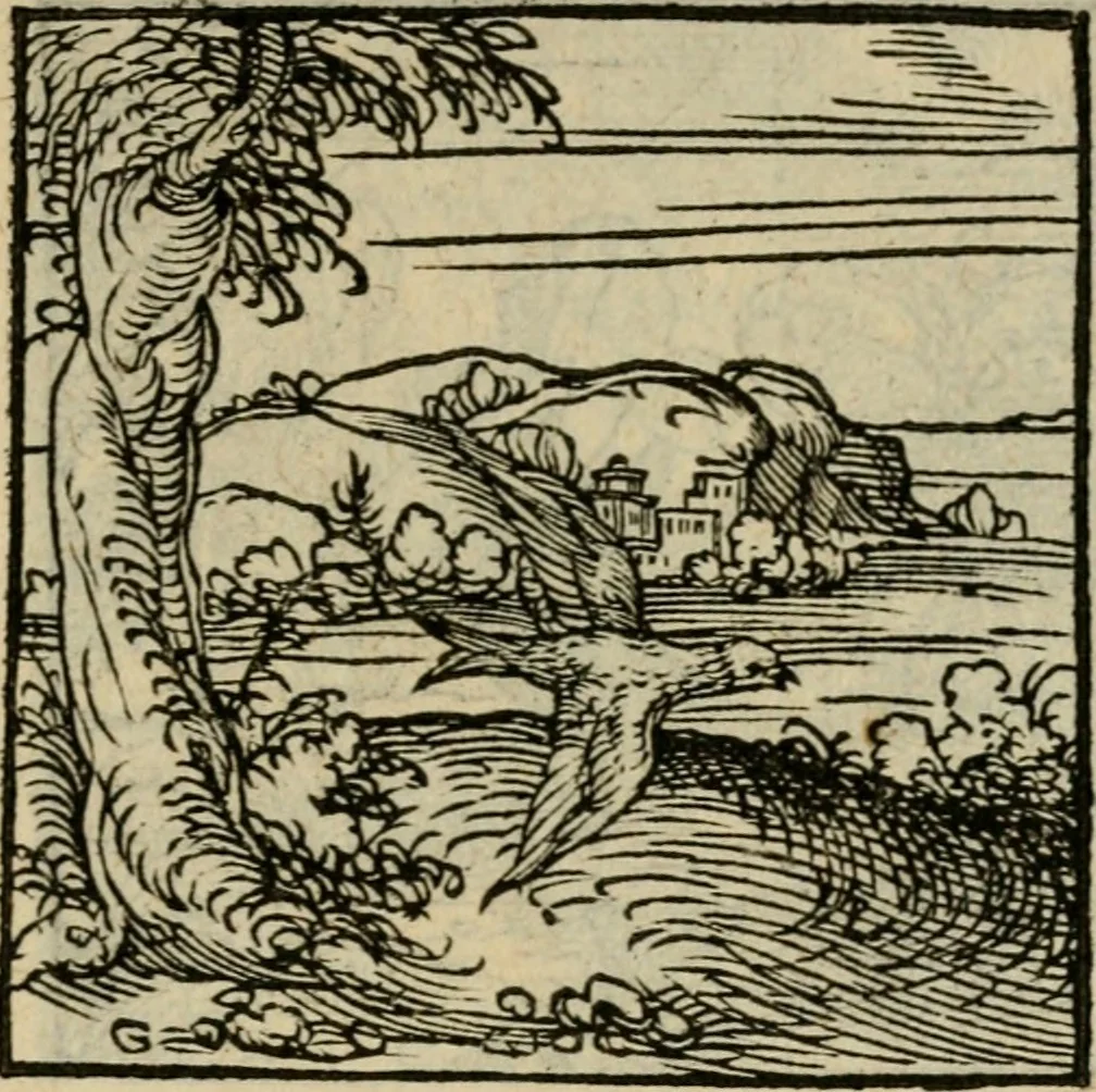 An illustration from Orvs Apollo de Ægypte De la signification des notes hieroglyphiques des Aegyptiens : cest a dire des figures par les quelles ilz escripuoient leurs mysteres secretz, & les choses sainctes & diuines, 1543, leaf 116