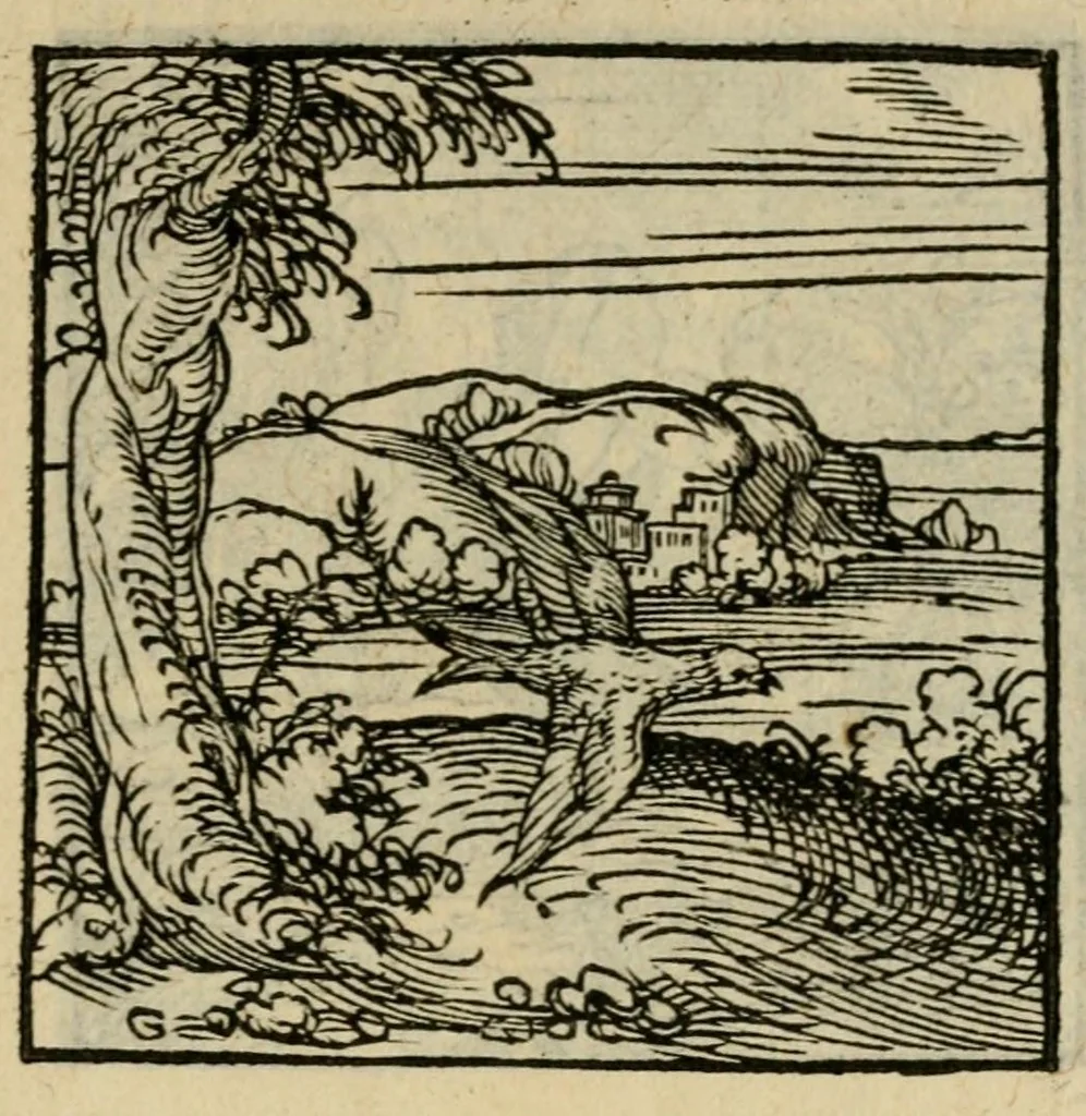 An illustration from Orvs Apollo de Ægypte De la signification des notes hieroglyphiques des Aegyptiens : cest a dire des figures par les quelles ilz escripuoient leurs mysteres secretz, & les choses sainctes & diuines, 1543, leaf 117