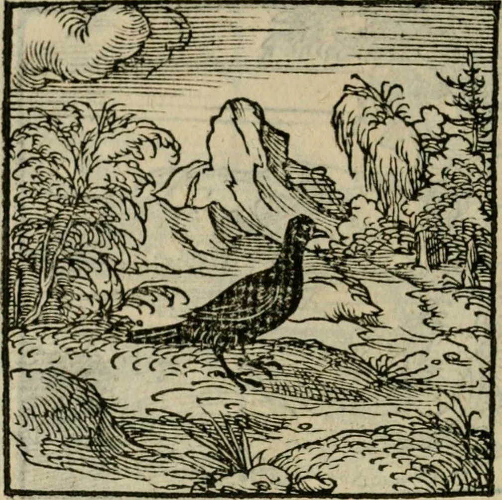 An illustration from Orvs Apollo de Ægypte De la signification des notes hieroglyphiques des Aegyptiens : cest a dire des figures par les quelles ilz escripuoient leurs mysteres secretz, & les choses sainctes & diuines, 1543, leaf 117