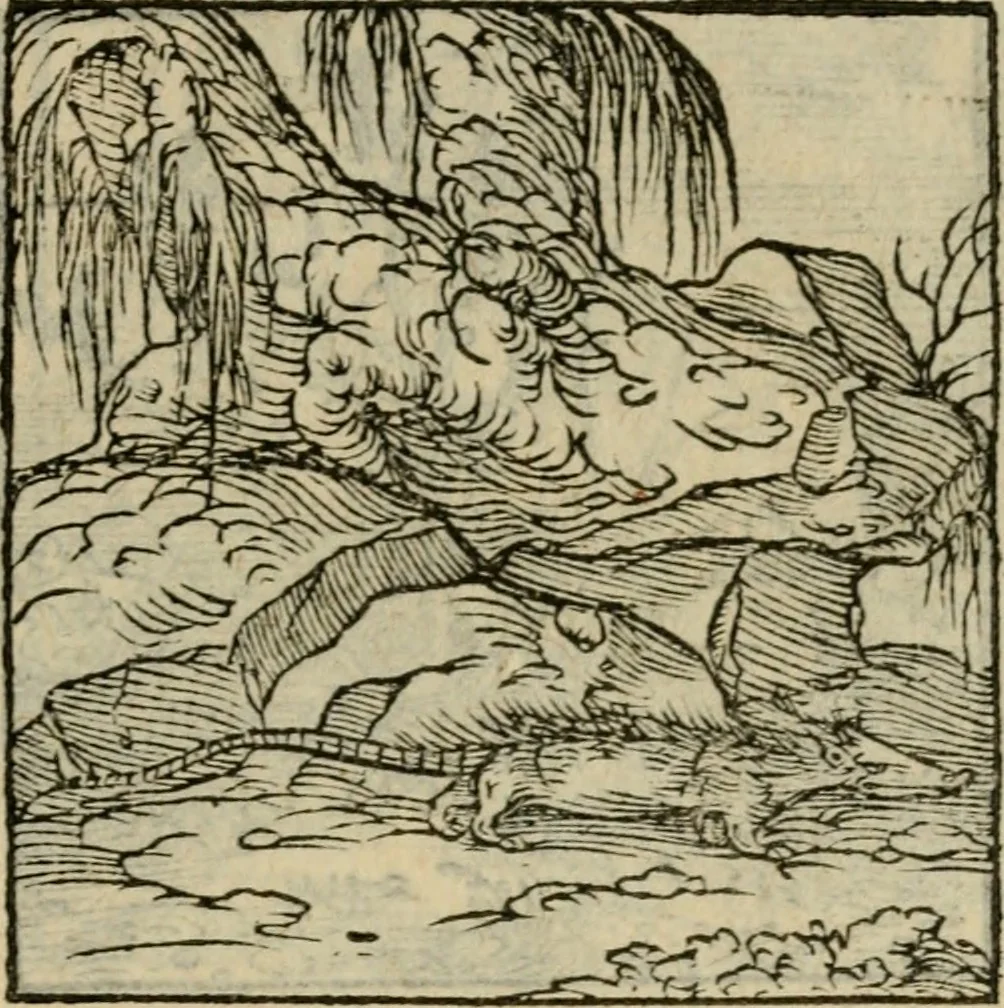 An illustration from Orvs Apollo de Ægypte De la signification des notes hieroglyphiques des Aegyptiens : cest a dire des figures par les quelles ilz escripuoient leurs mysteres secretz, & les choses sainctes & diuines, 1543, leaf 118