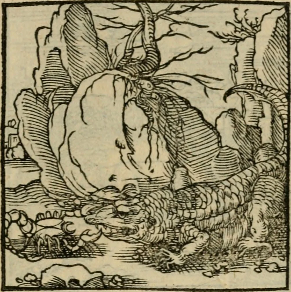 An illustration from Orvs Apollo de Ægypte De la signification des notes hieroglyphiques des Aegyptiens : cest a dire des figures par les quelles ilz escripuoient leurs mysteres secretz, & les choses sainctes & diuines, 1543, leaf 120