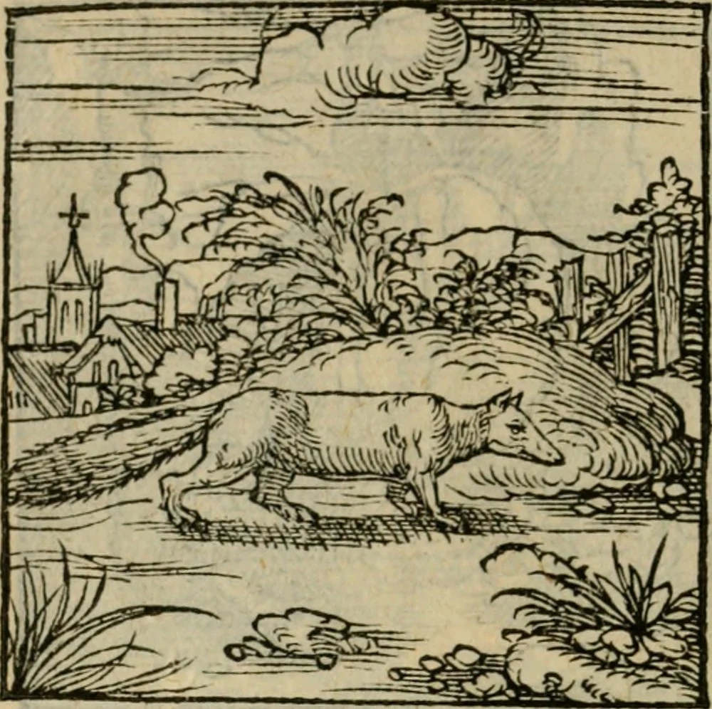 An illustration from Orvs Apollo de Ægypte De la signification des notes hieroglyphiques des Aegyptiens : cest a dire des figures par les quelles ilz escripuoient leurs mysteres secretz, & les choses sainctes & diuines, 1543, leaf 121