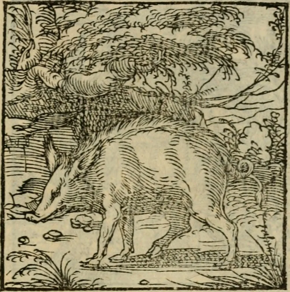 An illustration from Orvs Apollo de Ægypte De la signification des notes hieroglyphiques des Aegyptiens : cest a dire des figures par les quelles ilz escripuoient leurs mysteres secretz, & les choses sainctes & diuines, 1543, leaf 122