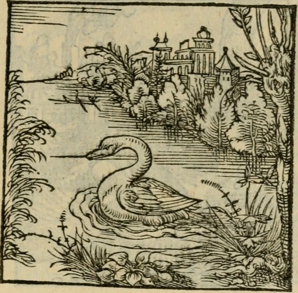 An illustration from Orvs Apollo de Ægypte De la signification des notes hieroglyphiques des Aegyptiens : cest a dire des figures par les quelles ilz escripuoient leurs mysteres secretz, & les choses sainctes & diuines, 1543, leaf 124