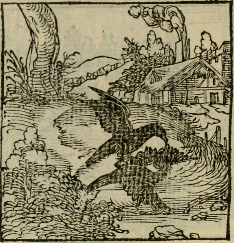 An illustration from Orvs Apollo de Ægypte De la signification des notes hieroglyphiques des Aegyptiens : cest a dire des figures par les quelles ilz escripuoient leurs mysteres secretz, & les choses sainctes & diuines, 1543, leaf 125
