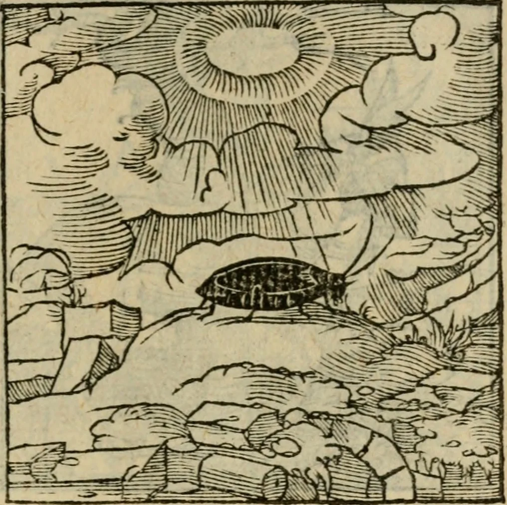 An illustration from Orvs Apollo de Ægypte De la signification des notes hieroglyphiques des Aegyptiens : cest a dire des figures par les quelles ilz escripuoient leurs mysteres secretz, & les choses sainctes & diuines, 1543, leaf 126