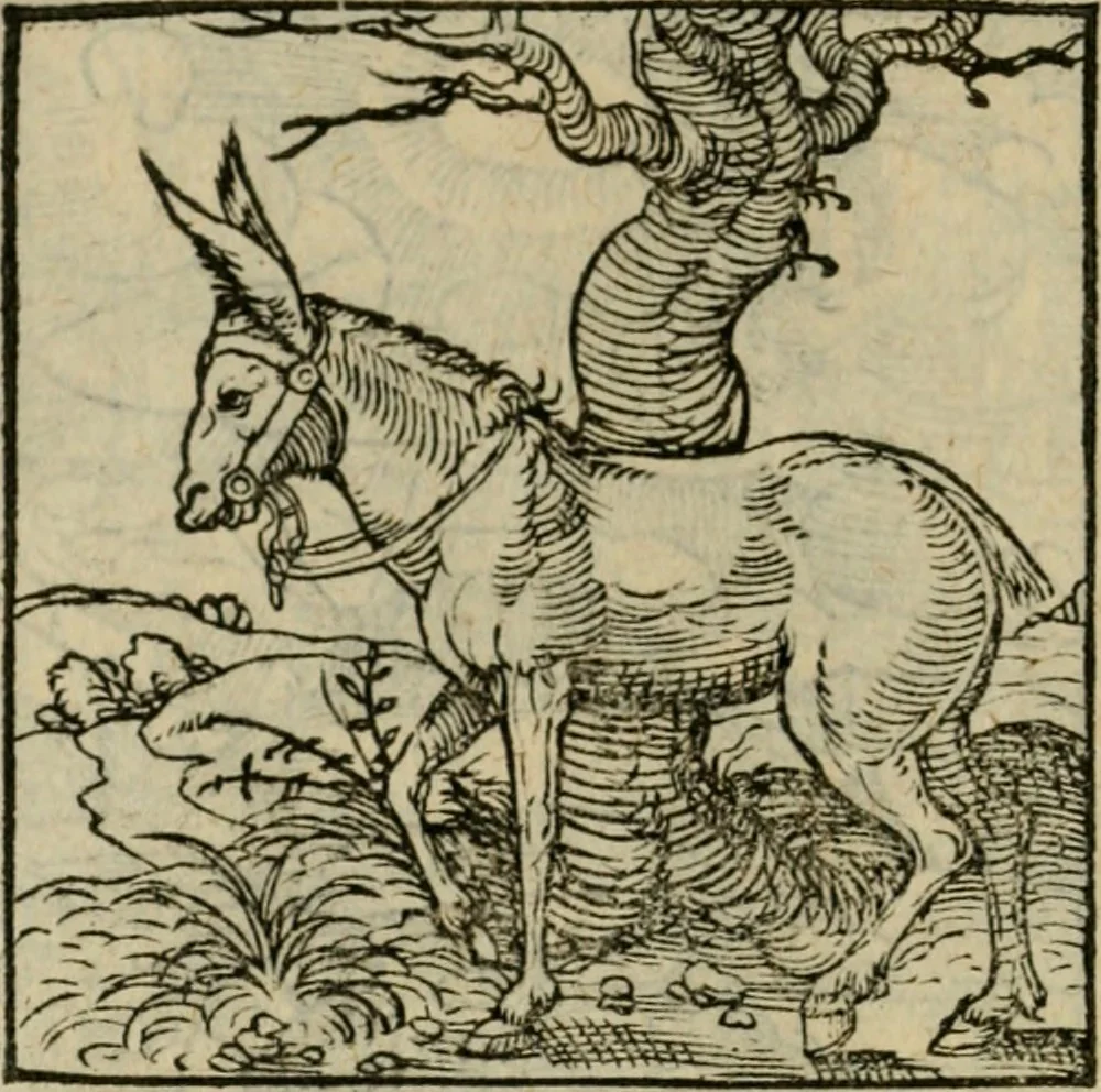 An illustration from Orvs Apollo de Ægypte De la signification des notes hieroglyphiques des Aegyptiens : cest a dire des figures par les quelles ilz escripuoient leurs mysteres secretz, & les choses sainctes & diuines, 1543, leaf 127