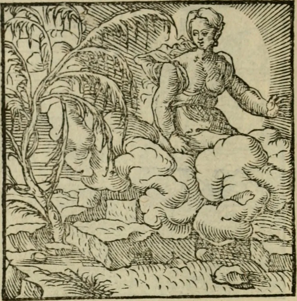 An illustration from Orvs Apollo de Ægypte De la signification des notes hieroglyphiques des Aegyptiens : cest a dire des figures par les quelles ilz escripuoient leurs mysteres secretz, & les choses sainctes & diuines, 1543, leaf 13