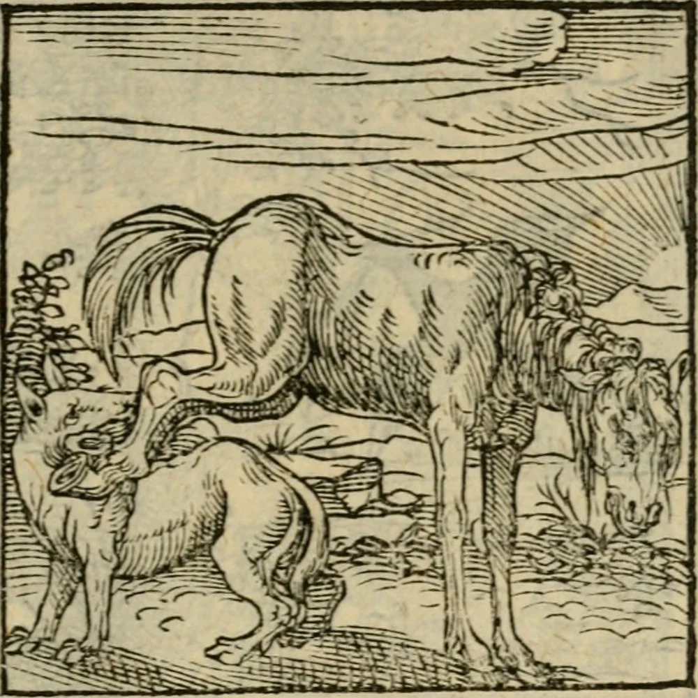 An illustration from Orvs Apollo de Ægypte De la signification des notes hieroglyphiques des Aegyptiens : cest a dire des figures par les quelles ilz escripuoient leurs mysteres secretz, & les choses sainctes & diuines, 1543, leaf 130