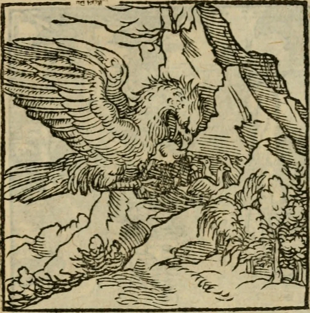 An illustration from Orvs Apollo de Ægypte De la signification des notes hieroglyphiques des Aegyptiens : cest a dire des figures par les quelles ilz escripuoient leurs mysteres secretz, & les choses sainctes & diuines, 1543, leaf 134