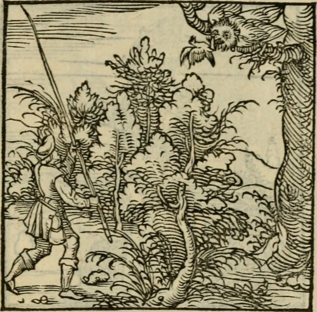 An illustration from Orvs Apollo de Ægypte De la signification des notes hieroglyphiques des Aegyptiens : cest a dire des figures par les quelles ilz escripuoient leurs mysteres secretz, & les choses sainctes & diuines, 1543, leaf 136