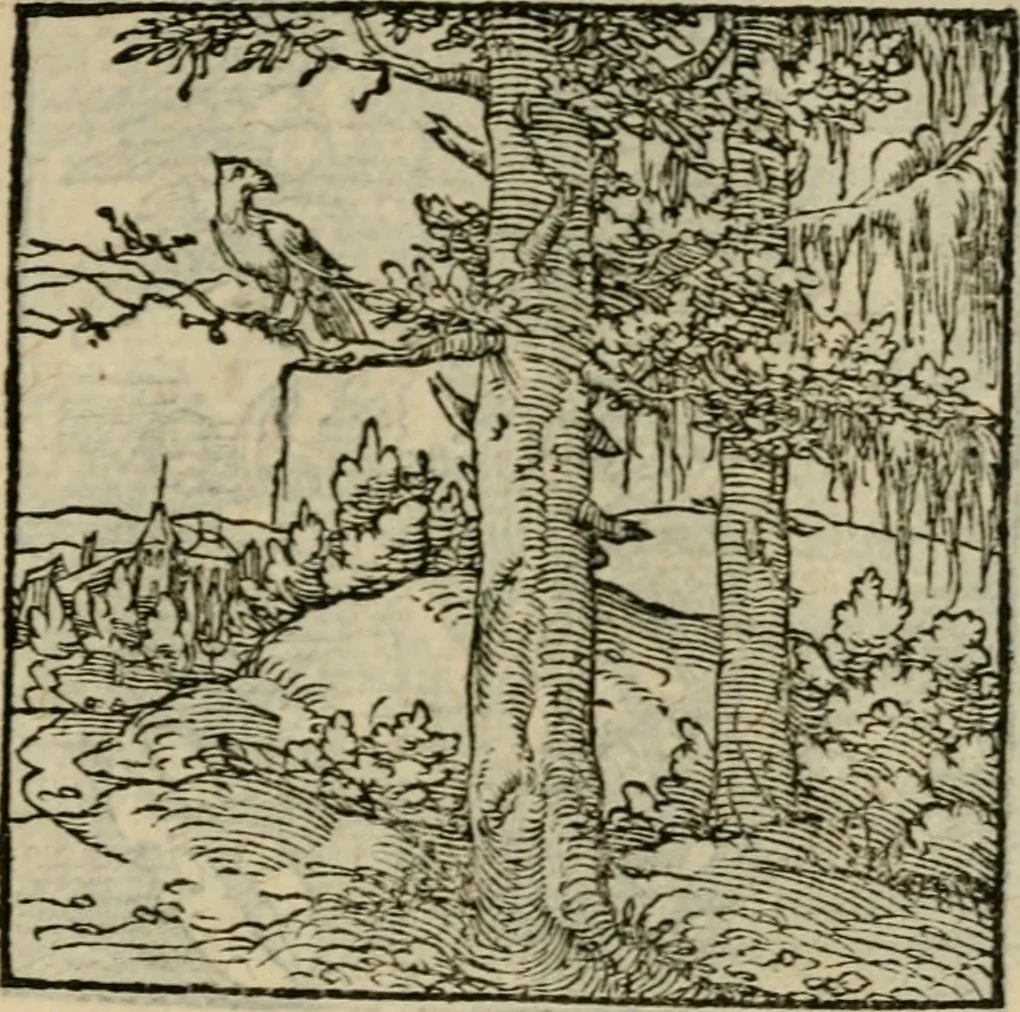 An illustration from Orvs Apollo de Ægypte De la signification des notes hieroglyphiques des Aegyptiens : cest a dire des figures par les quelles ilz escripuoient leurs mysteres secretz, & les choses sainctes & diuines, 1543, leaf 138