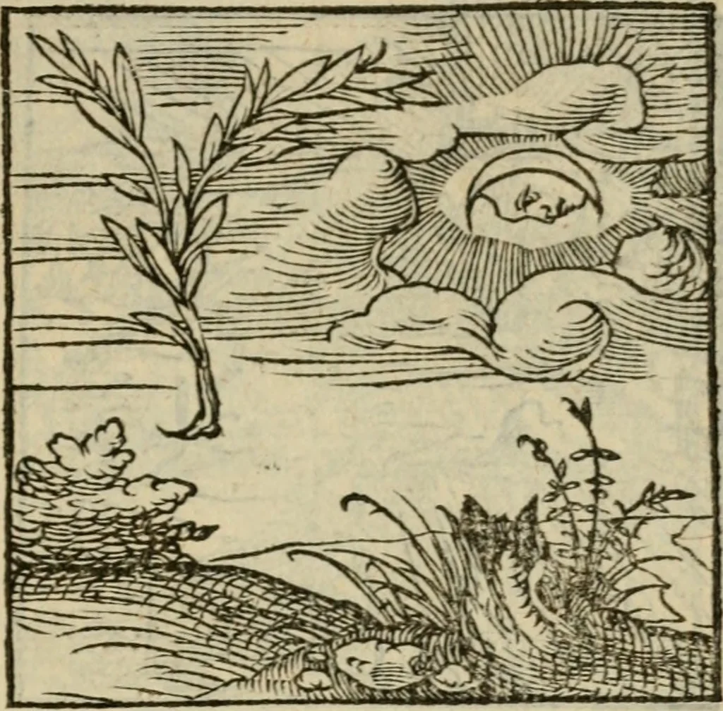 An illustration from Orvs Apollo de Ægypte De la signification des notes hieroglyphiques des Aegyptiens : cest a dire des figures par les quelles ilz escripuoient leurs mysteres secretz, & les choses sainctes & diuines, 1543, leaf 14