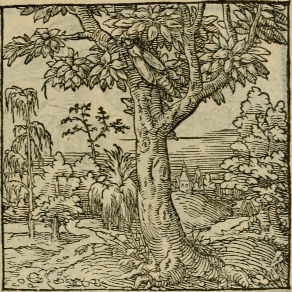 An illustration from Orvs Apollo de Ægypte De la signification des notes hieroglyphiques des Aegyptiens : cest a dire des figures par les quelles ilz escripuoient leurs mysteres secretz, & les choses sainctes & diuines, 1543, leaf 140