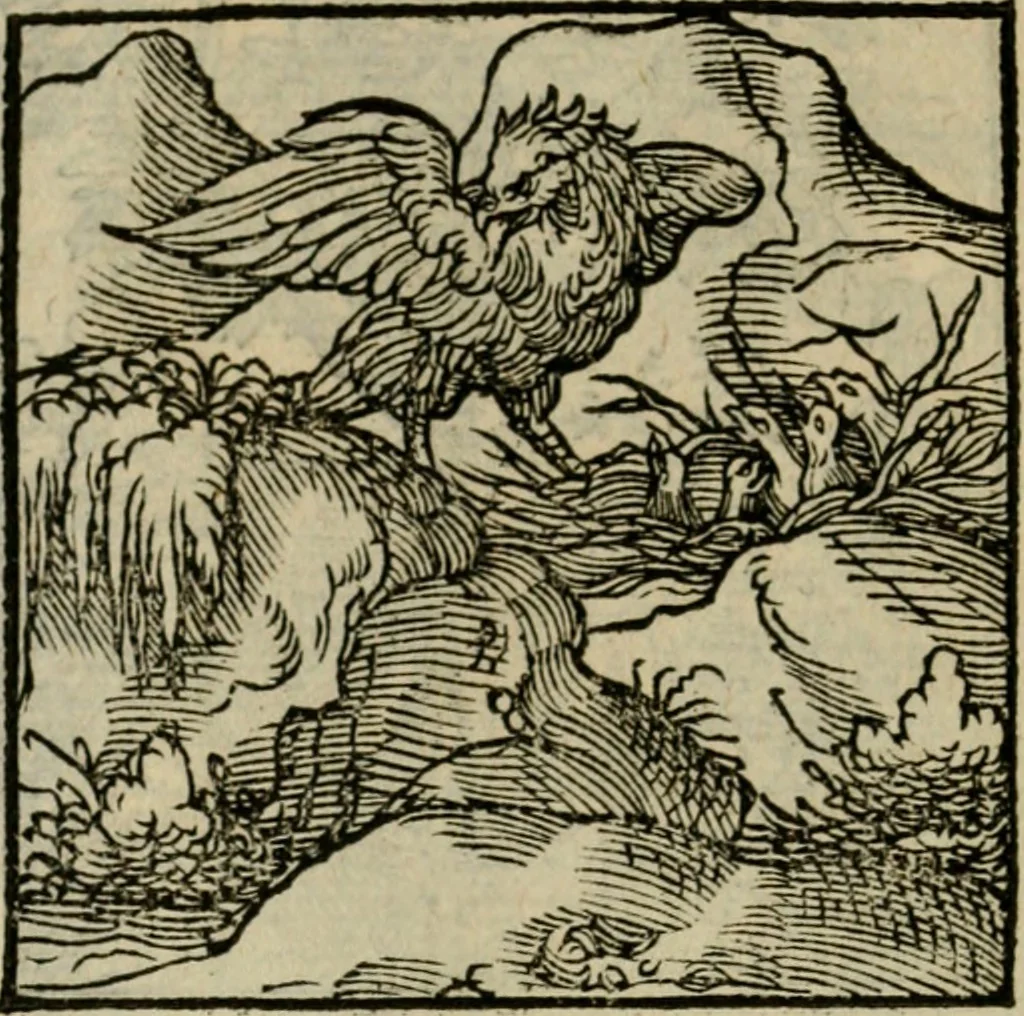 An illustration from Orvs Apollo de Ægypte De la signification des notes hieroglyphiques des Aegyptiens : cest a dire des figures par les quelles ilz escripuoient leurs mysteres secretz, & les choses sainctes & diuines, 1543, leaf 141