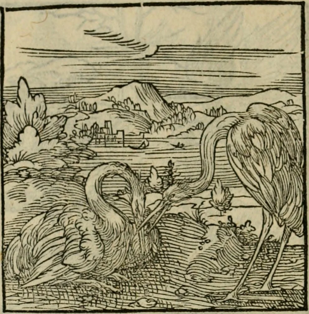 An illustration from Orvs Apollo de Ægypte De la signification des notes hieroglyphiques des Aegyptiens : cest a dire des figures par les quelles ilz escripuoient leurs mysteres secretz, & les choses sainctes & diuines, 1543, leaf 143