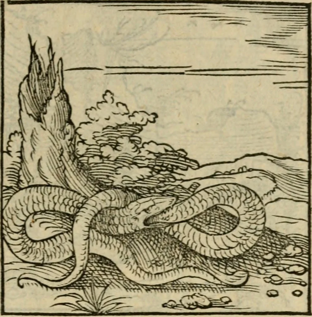 An illustration from Orvs Apollo de Ægypte De la signification des notes hieroglyphiques des Aegyptiens : cest a dire des figures par les quelles ilz escripuoient leurs mysteres secretz, & les choses sainctes & diuines, 1543, leaf 144