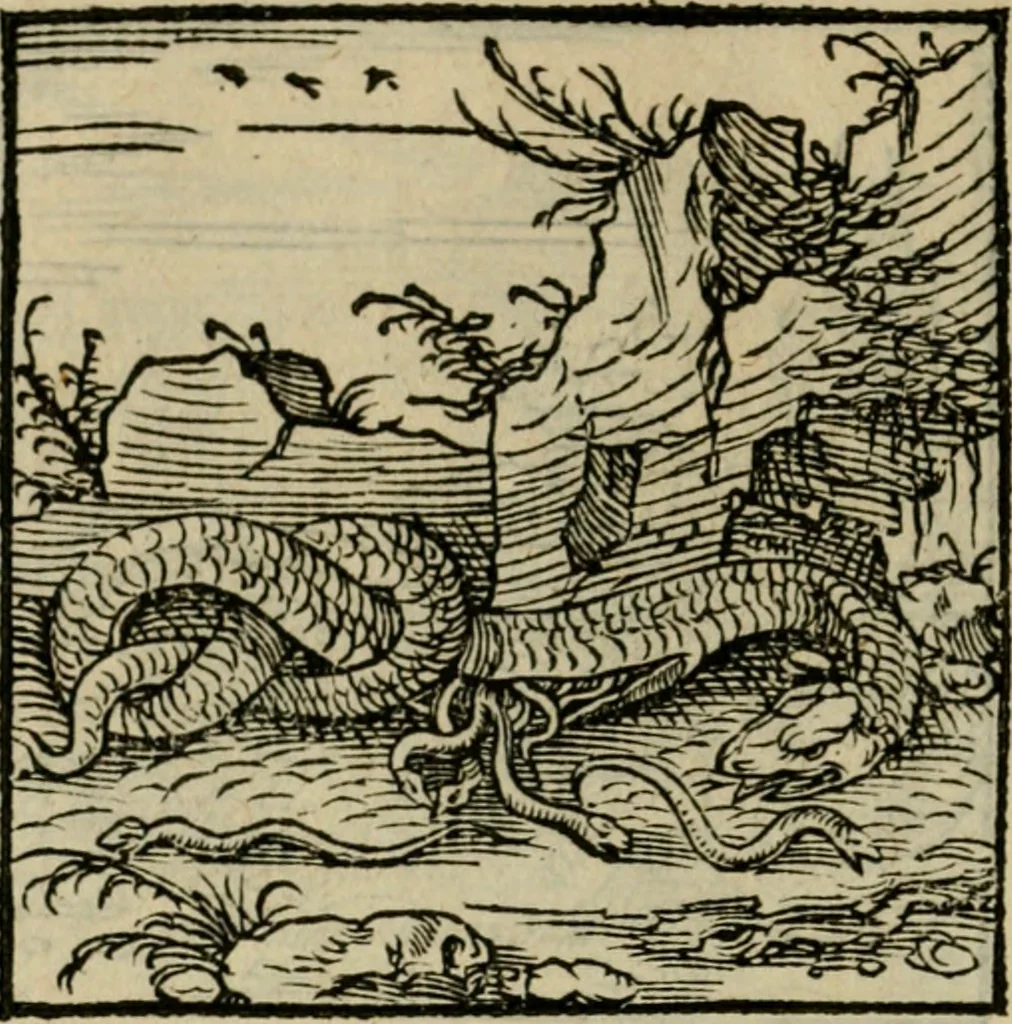 An illustration from Orvs Apollo de Ægypte De la signification des notes hieroglyphiques des Aegyptiens : cest a dire des figures par les quelles ilz escripuoient leurs mysteres secretz, & les choses sainctes & diuines, 1543, leaf 145