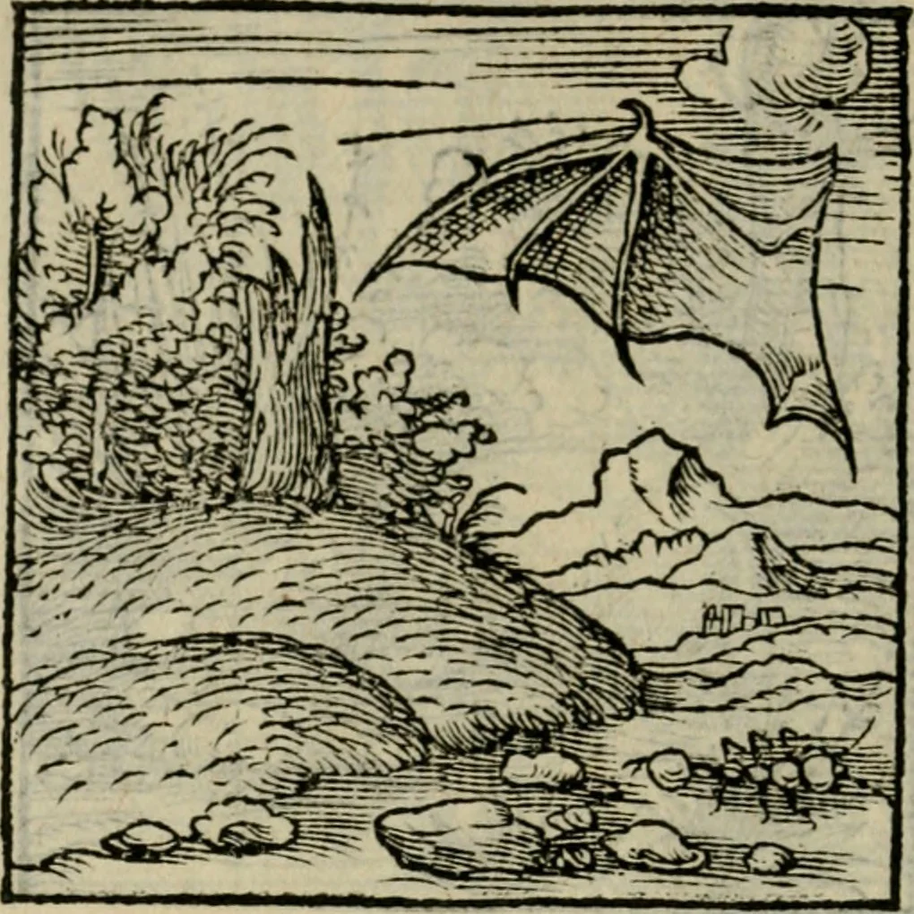 An illustration from Orvs Apollo de Ægypte De la signification des notes hieroglyphiques des Aegyptiens : cest a dire des figures par les quelles ilz escripuoient leurs mysteres secretz, & les choses sainctes & diuines, 1543, leaf 149