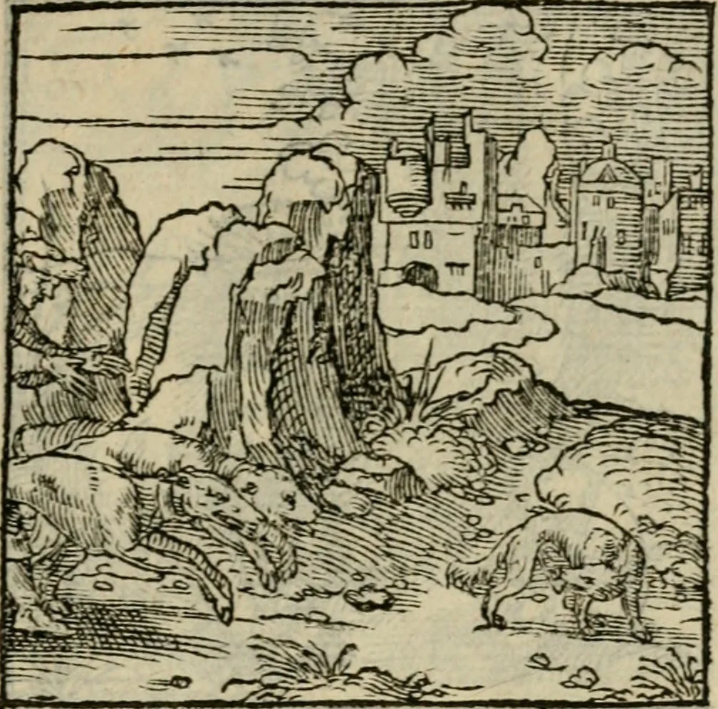 An illustration from Orvs Apollo de Ægypte De la signification des notes hieroglyphiques des Aegyptiens : cest a dire des figures par les quelles ilz escripuoient leurs mysteres secretz, & les choses sainctes & diuines, 1543, leaf 150